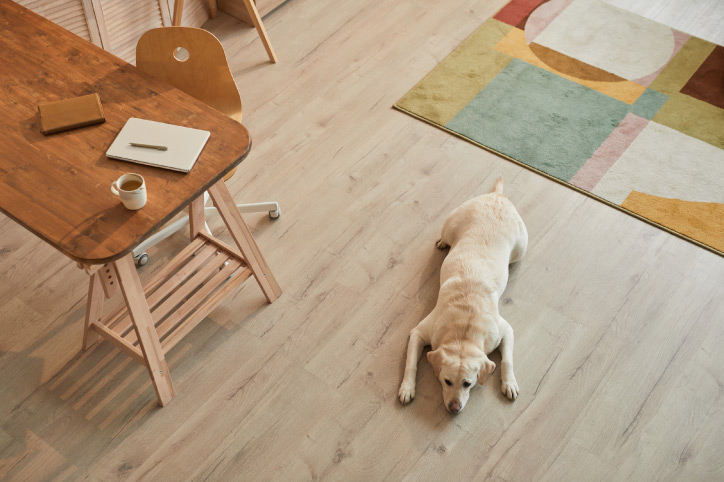 hardwood flooring in a home and a dog